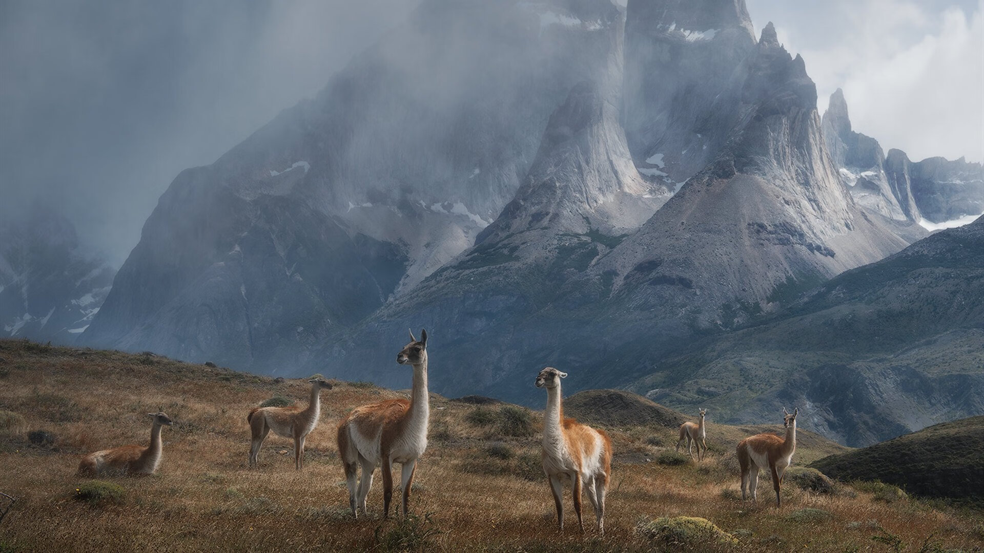 冰岛终场绝杀安哥拉,巴雷拉化身关键先生书写逆转传奇