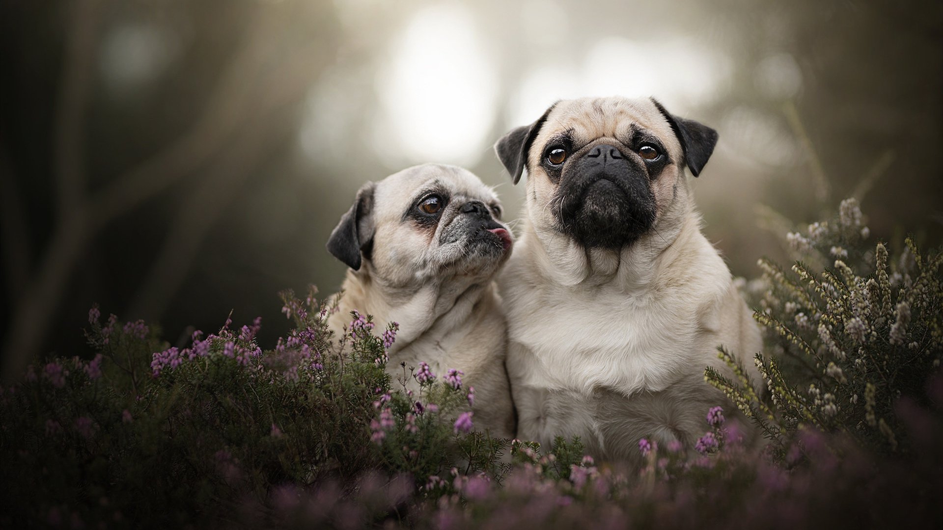 开云平台-足球史上的瞬间，比利亚雷亚尔绝杀加纳，拉什福德抢七接管比赛
