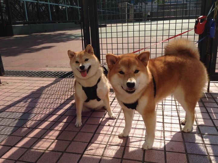 西甲国家德比之夜，迪马利亚的微光，足以点亮历史星辰