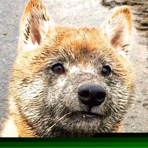 神话级黑马！南美孤狼闯入欧陆腹地—欧冠决赛史上最颠覆一战，巴拉圭军团奇迹狂胜亚特兰大